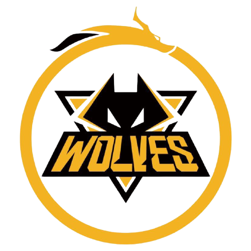 西甲：拉斯帕尔马斯以1比2 输给赫塔费.